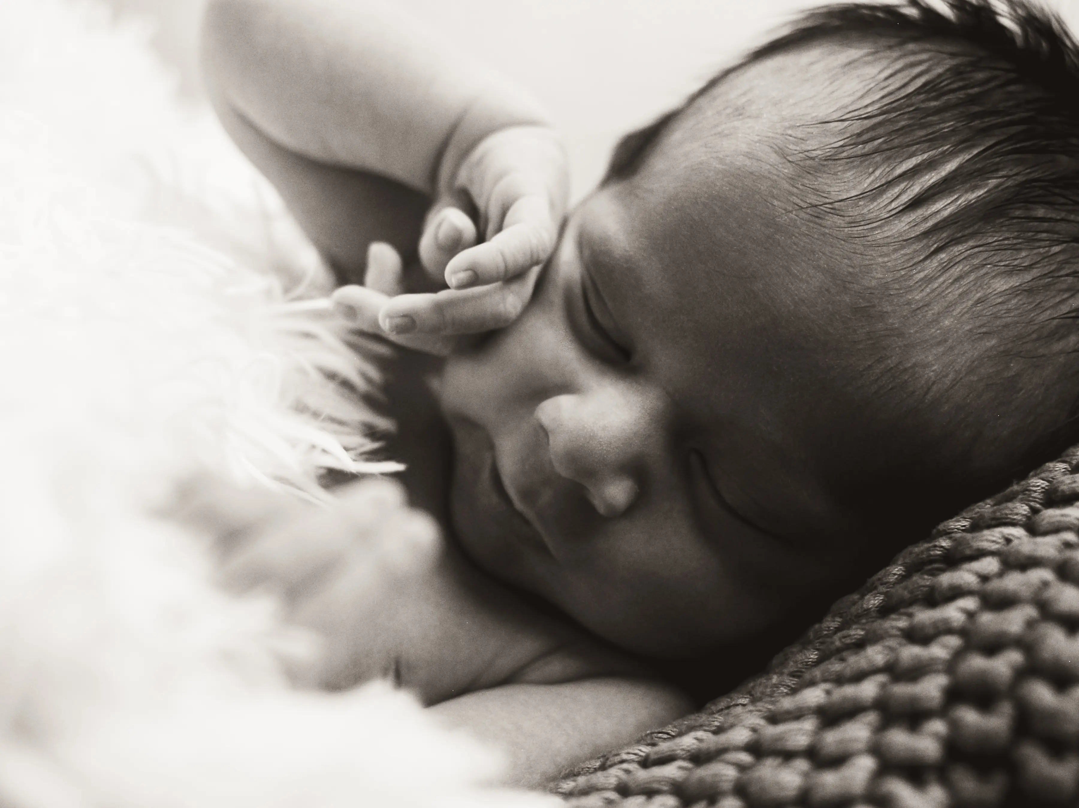 Newborn Session
